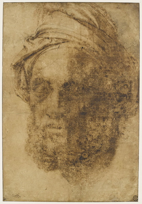 Portrait de Michel-Ange.  ,   (487x700, 137Kb)