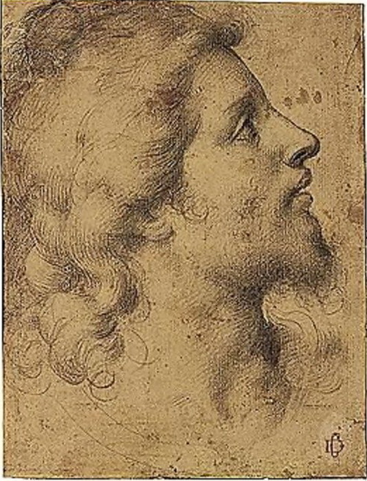 Head Of A Young Man, In Profile (After) (534x700, 165Kb)