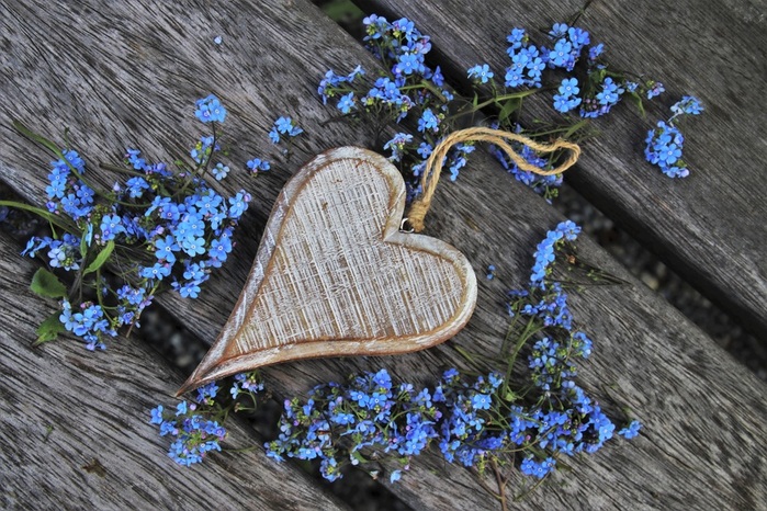 2021Love_Wooden_heart_with_blue_forget-me-not_flowers_150166_ (700x466, 190Kb)