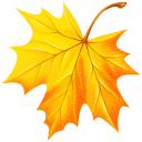 5152557_111112getImage (128x128, 8Kb)