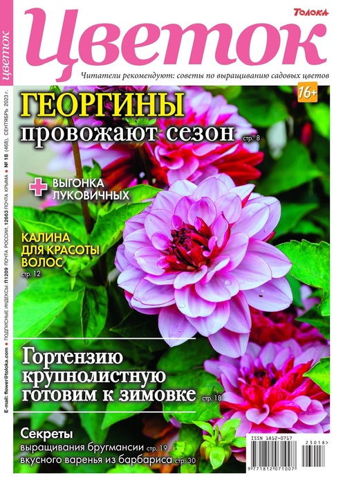 Согласие посетителя сайта на обработку персональных данных - Семейная стоматология