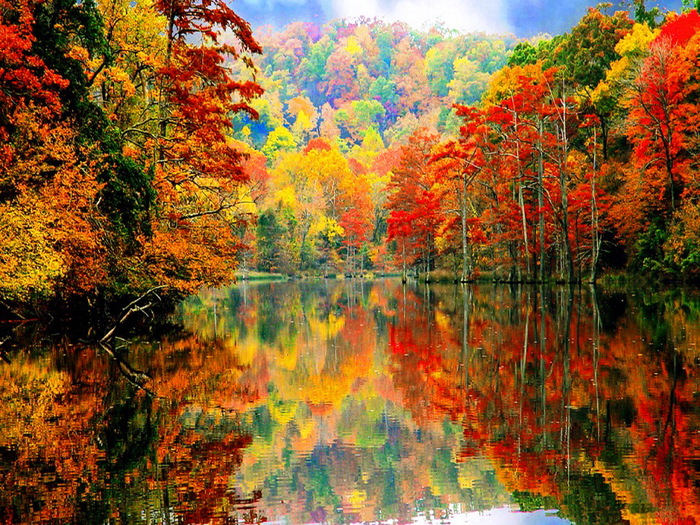 5152557_different_autumn_colors_reflection_red_fallSDA_ (700x525, 273Kb)