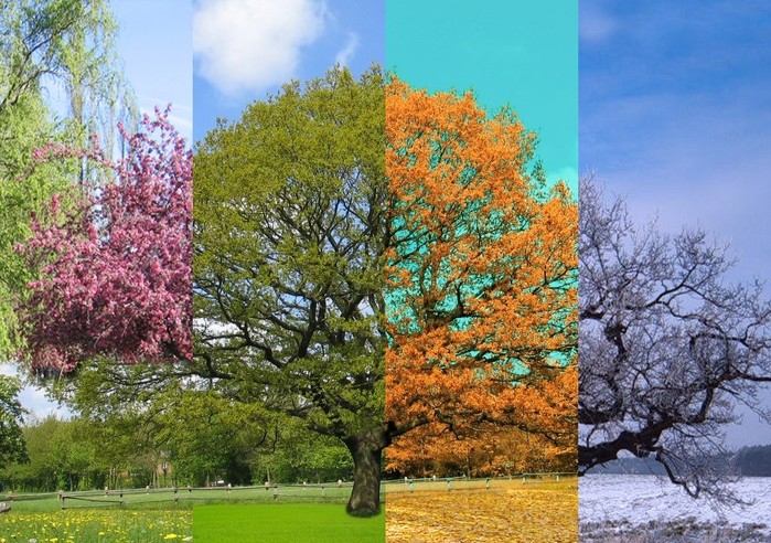 5152557_sezon (700x492, 155Kb)