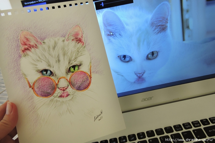 кошка Ваня, художник Ольга Лялина, ShraddhaArt 2021(7) (700x466, 223Kb)