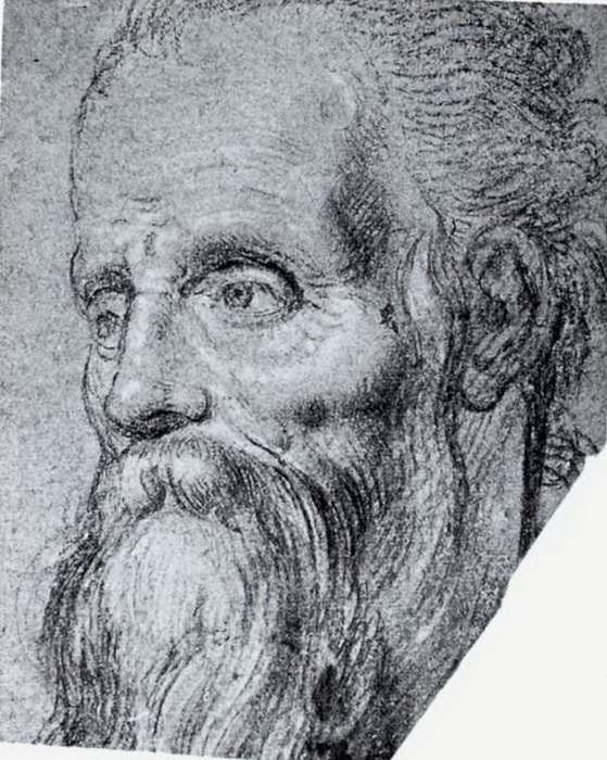 1578-1582 Head of an Old Bearded Man 22,5 17,7 .    (559x700, 156Kb)