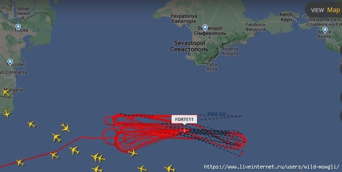 Northrop Grumman RQ-4B Global Hawk/7399830_Capture_Forte11_20231015 (700x352, 68Kb)