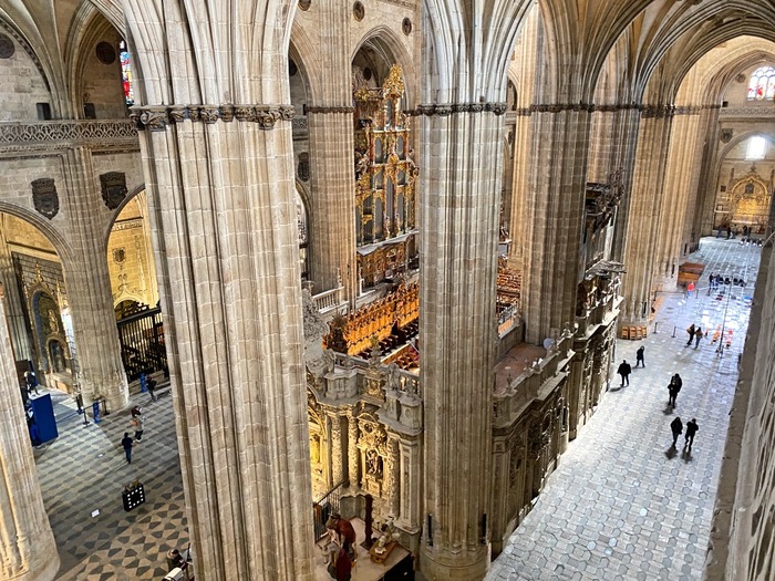 visiting-Salamanca-Cathedral-Tower-Tour-22 (900x725, 192Kb)