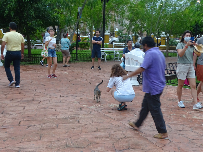 DSC00323 (700x525, 455Kb)