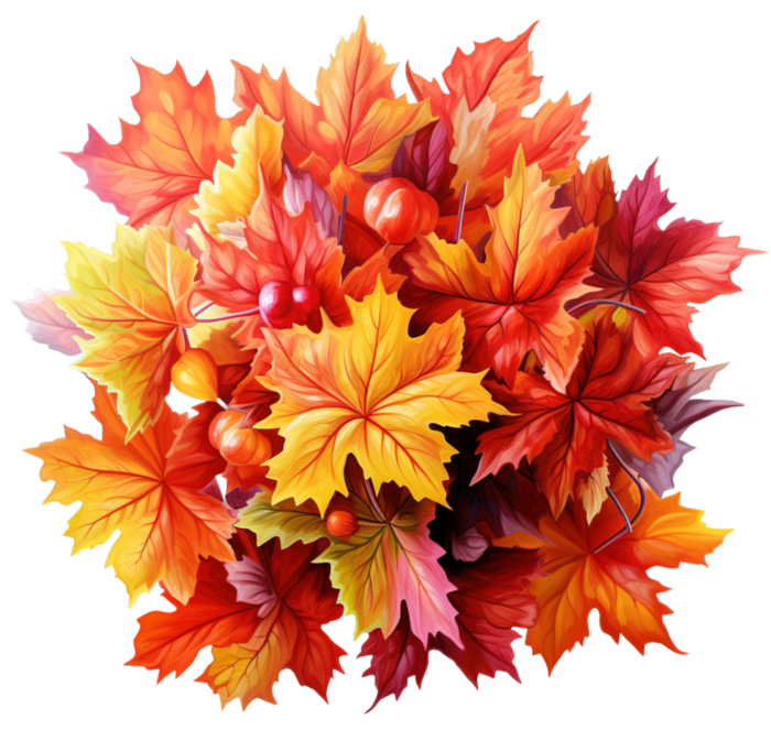 1 Bouquet of autumn maple leaves 4-standard-width-3000px (700x663, 612Kb)