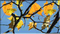 115 (200x114, 4Kb)