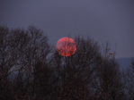  DSCN0510 (700x525, 405Kb)