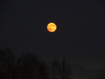  DSCN0546 (700x525, 233Kb)