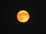  DSCN0553 (700x525, 202Kb)