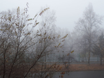  4 (700x525, 440Kb)