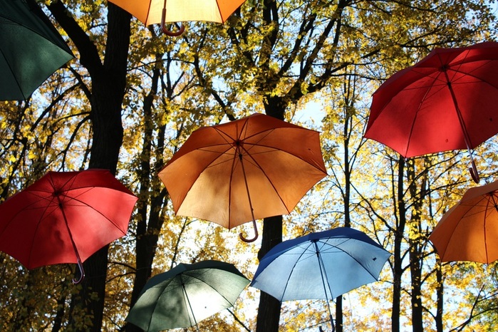 tree-sun-sunlight-leaf-flower-window-red-umbrella-color-autumn-flora-season-trees-umbrellas-fashion-accessory-1173627 (700x466, 198Kb)