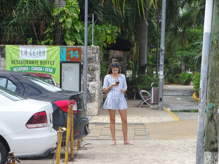 DSC00363 (700x525, 443Kb)
