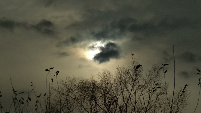 IMG_20231107_092220 (700x393, 102Kb)