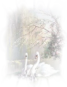 74659254_large_cygne (139x179, 65Kb)