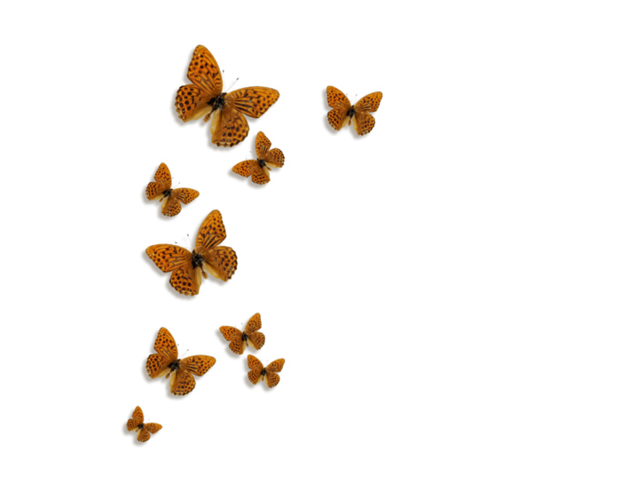5g568 (700x560, 96Kb)