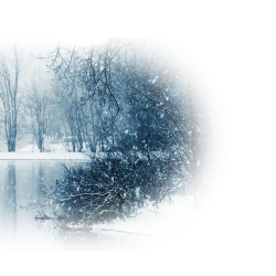 15657eb22b6401a10.th (250x250, 101Kb)