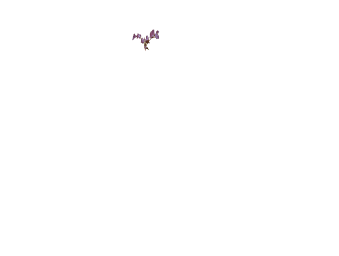 vv44 (700x529, 6Kb)
