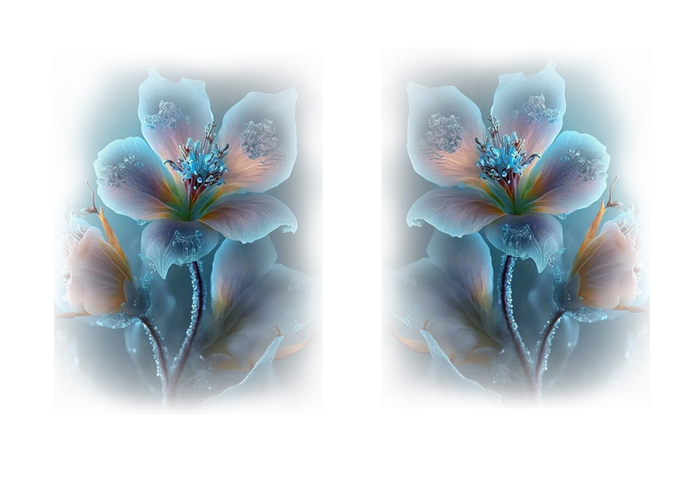 zzr (700x500, 378Kb)