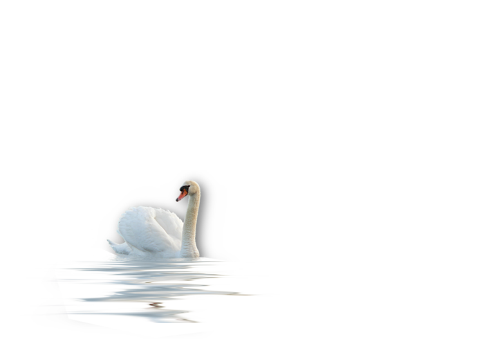 liuzh (700x500, 62Kb)