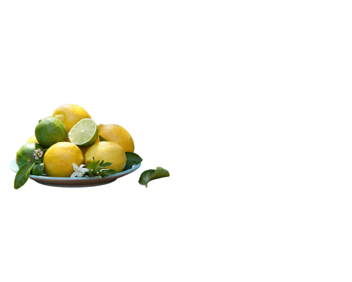 llllliz (700x560, 81Kb)