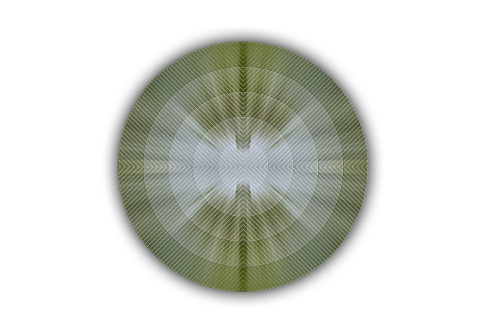 8900986 (700x480, 283Kb)