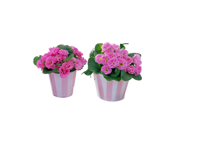 43r3r (700x466, 108Kb)