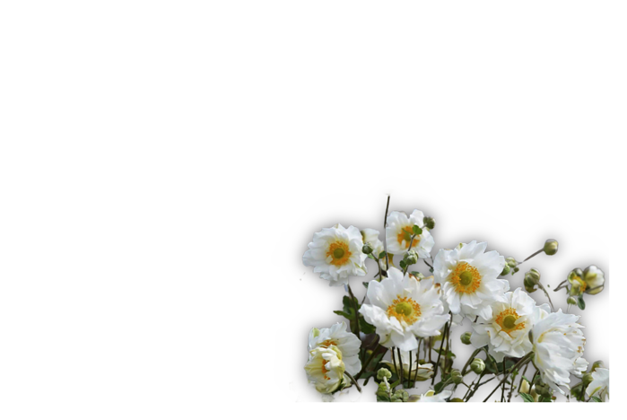 45ffrztz (700x468, 150Kb)