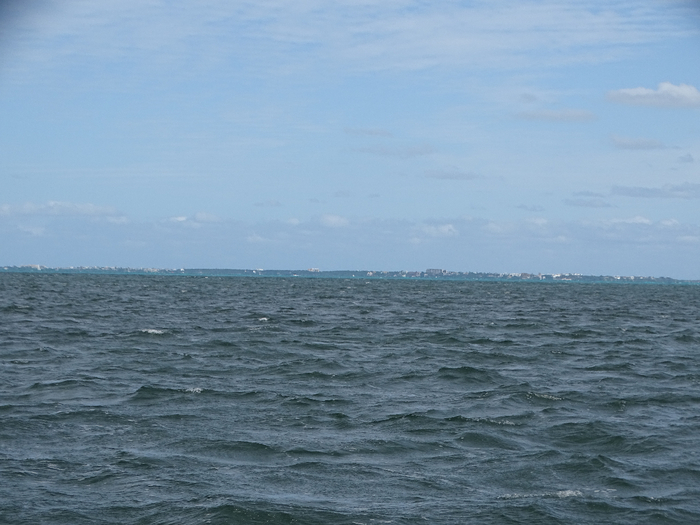 DSC00543 (700x525, 316Kb)