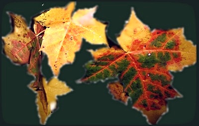 4085248_Klen04 (400x255, 32Kb)