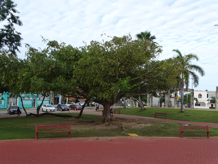 DSC00591 (700x525, 436Kb)