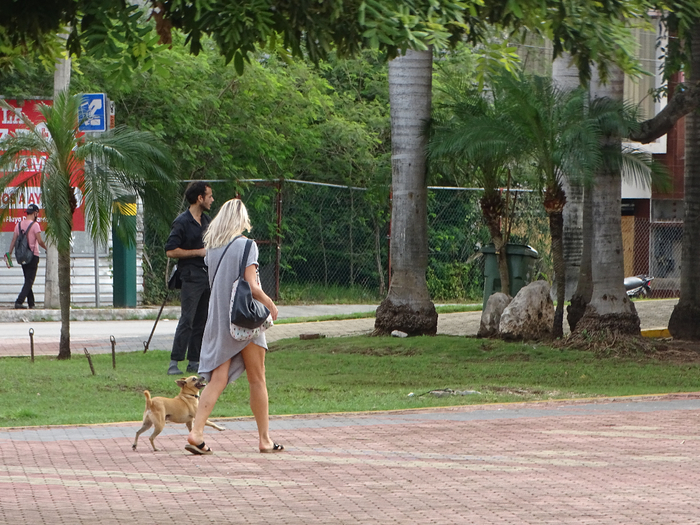 DSC00601 (700x525, 477Kb)