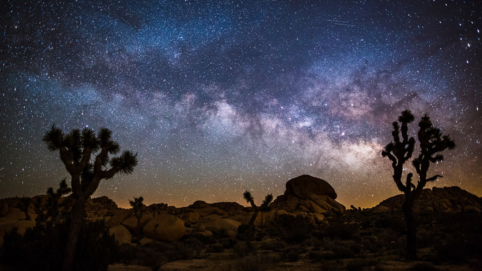 Desert landscape at night with Milky Way, Joshua tree national park, California, USA (700x393, 347Kb)