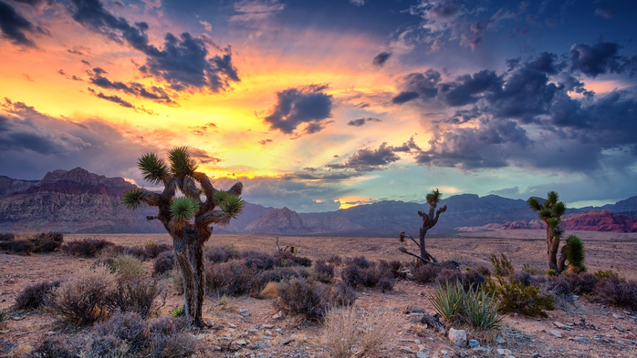 Desert monsoon, Red Rock Canyon, Las Vegas, Nevada, USA (700x393, 347Kb)