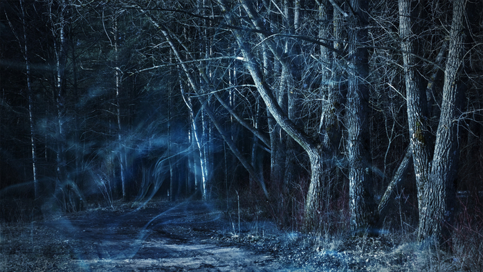 Misty forest by moonlight (700x393, 439Kb)