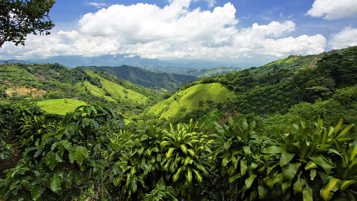 Mountains and hills with view into valley, San José, Costa Rica (700x393, 413Kb)