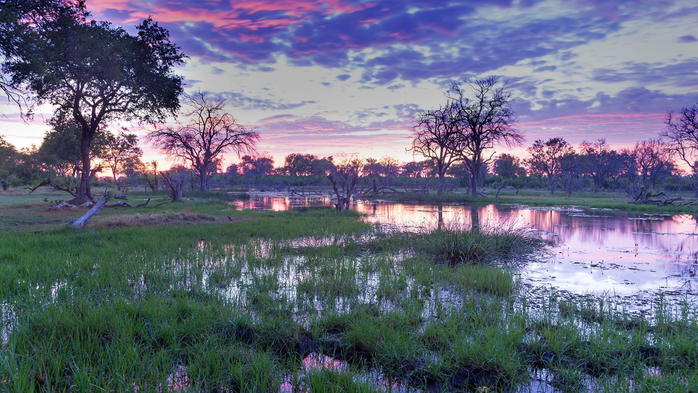 Okavango Delta, Africa, Botswana (700x393, 448Kb)