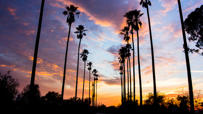 Palm Trees Lined Street in Los Angeles, silhouetted against colorful clouds, California, USA (700x393, 342Kb)