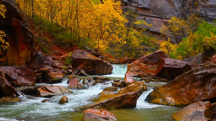 Rainy day on the North fork of Virgin River in Zion Canyon, Utah, USA (700x393, 429Kb)