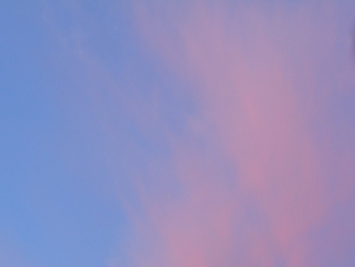 4533467_DSCN5191 (700x527, 35Kb)