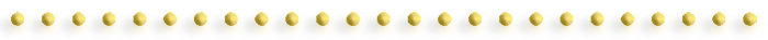 1-1 (700x37, 29Kb)