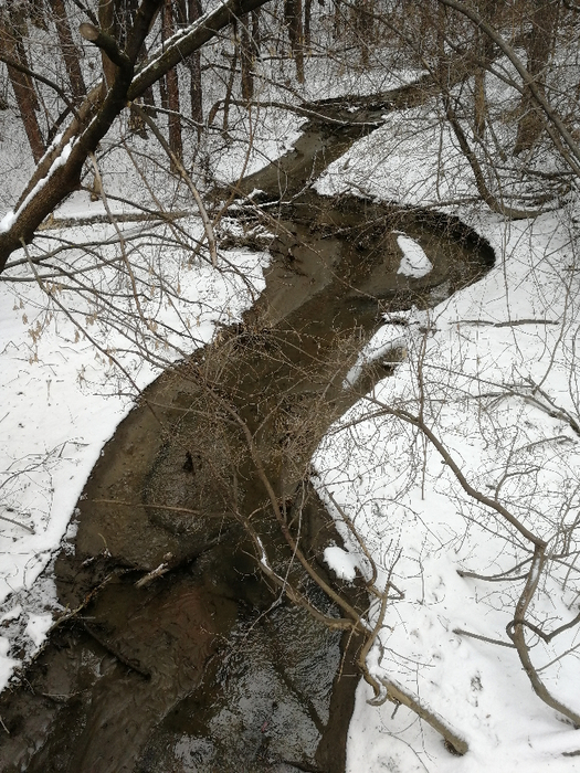 IMG_20231110_134121 (525x700, 475Kb)