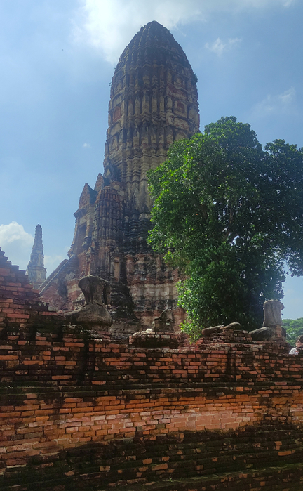 18 (432x700, 376Kb)