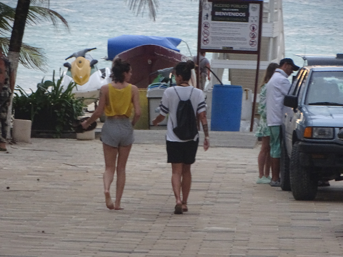 DSC00659 (700x525, 369Kb)
