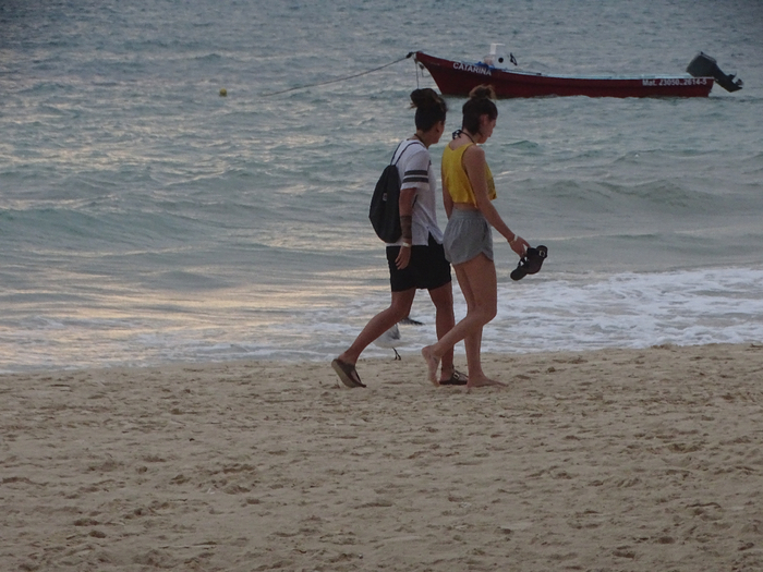 DSC00664 (700x525, 373Kb)