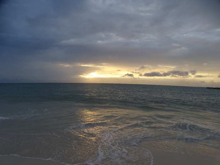 DSC00681 (700x525, 301Kb)
