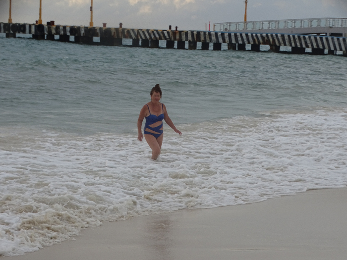 DSC00691 (700x525, 328Kb)